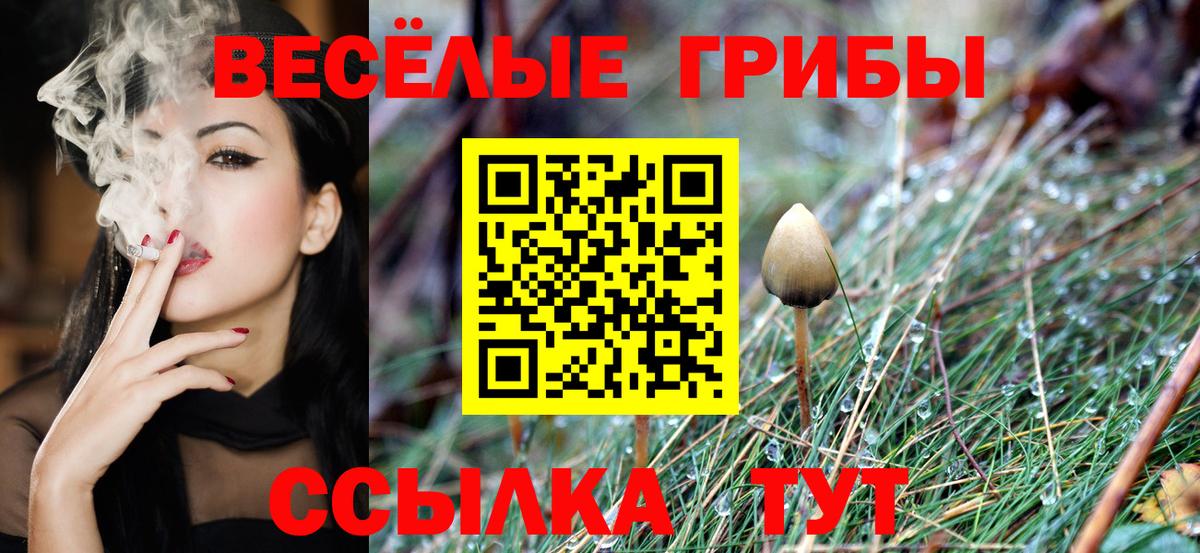 Псилоцибиновые грибы MAGIC MUSHROOMS  Вход с VPN  Жигулёвск  Псилоцибиновые грибы Cubensis 