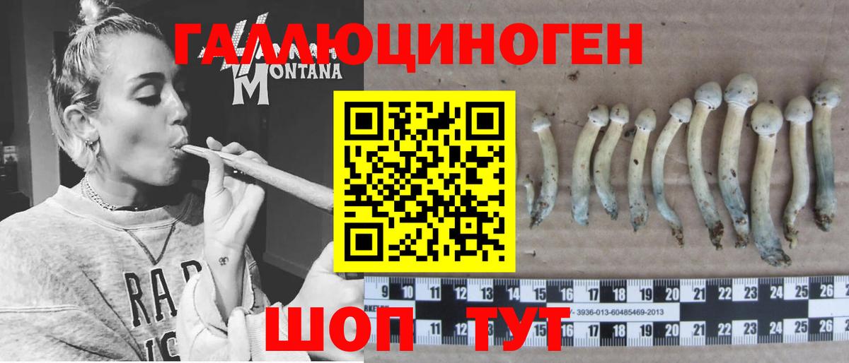 Галлюциногенные грибы мухоморы Жигулёвск