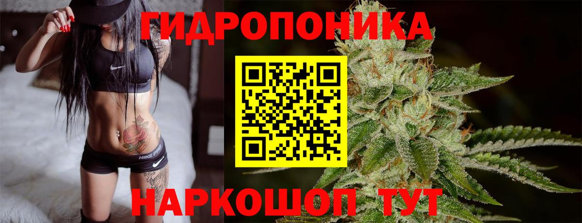 Жигулёвск  Каннабис OG Kush  Конопля семена  Вход с VPN 